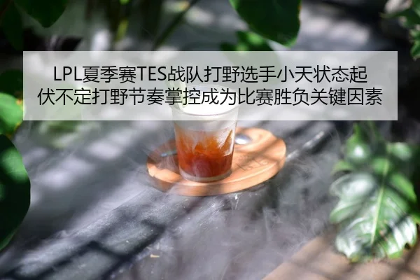 LPL夏季赛TES战队打野选手小天状态起伏不定打野节奏掌控成为比赛胜负关键因素