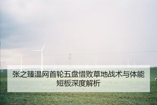 张之臻温网首轮五盘惜败草地战术与体能短板深度解析
