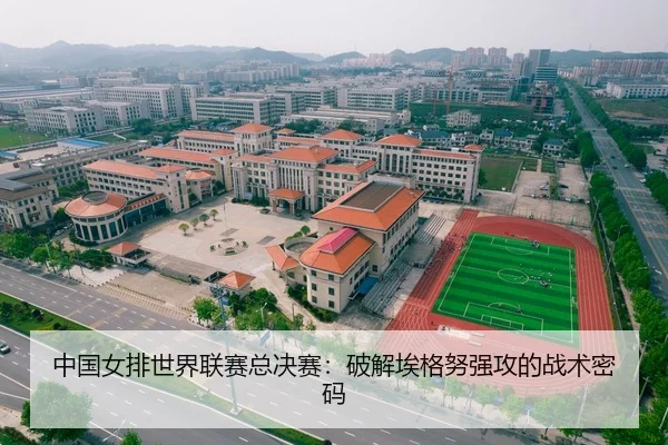 中国女排世界联赛总决赛：破解埃格努强攻的战术密码